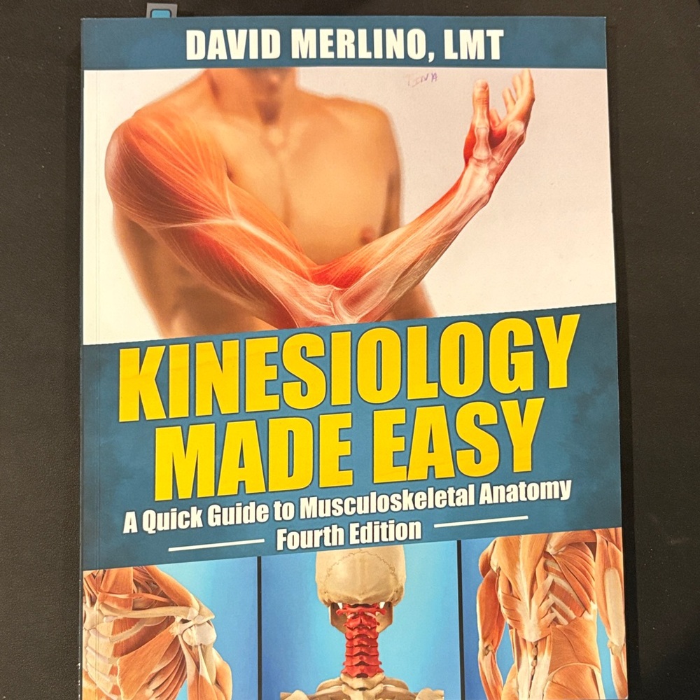 Kinesiology Made Easy - Quick Guide to Anatomy